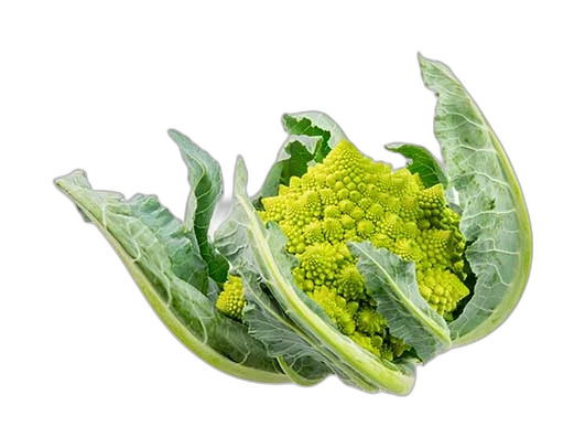 Brocoli romanesco